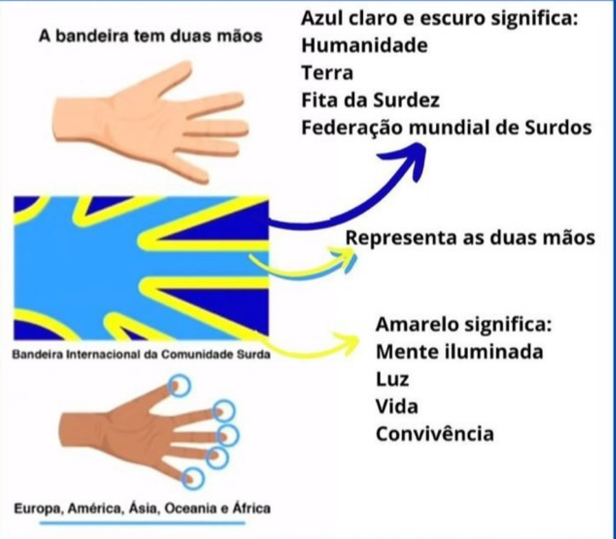 Bandeira em Mãos